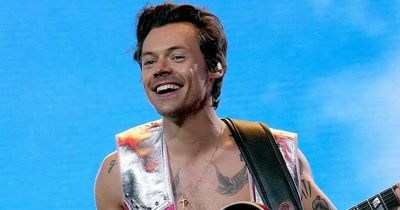 Harry Styles helps a fan come out as gay live on stage at his gig at Wembley Stadium