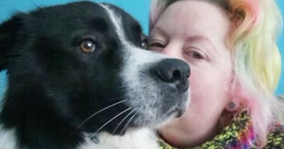Woman left with injuries 'like shark attack' after her dog turned on her