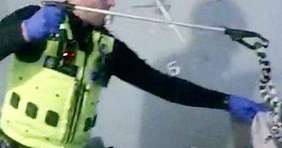 Dad's terrified 999 call as snake invades family's living room
