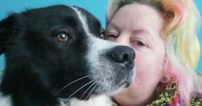 Woman feared she'd die after her dog 'tried to rip her apart' when she got home from holiday