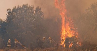 Spain weather warning as tourists warned of 'apocalyptic' heatwave and wildfires