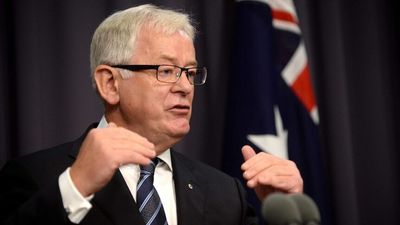 Andrew Robb did not breach code of conduct by taking $880k consultancy role with Chinese billionaire, Scott Ryan says