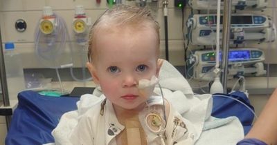 North East baby waiting for new heart receives message of hope from family of boy saved by transplant