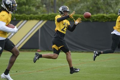 2022 Steelers training camp: Safety