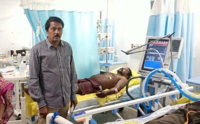 Andhra Pradesh: Eight farmers injured in bear attack in Srikakulam