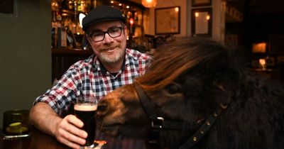 Petition launched campaigning for heroic beer-drinking pony to be named mayor