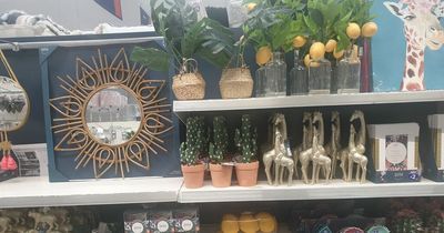 B&M launches exotic new Lush Paradise homeware collection and here are our top five picks