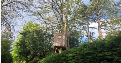 Midlothian family win fight to save treehouse that neighbours branded 'obtrusive'