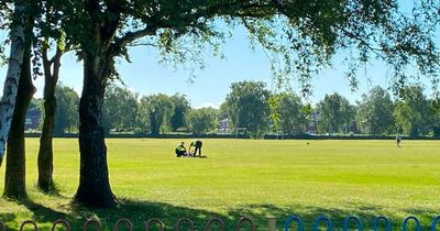 Man arrested in south Manchester park after another man assaulted