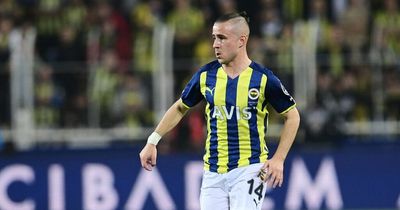 Swansea City transfer news as Fenerbahce star linked, midfielder heading north and swap deal explored