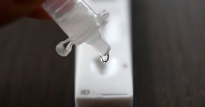 Will free Covid tests come back as new cases soar and threaten to burden the NHS