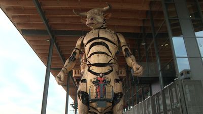 French minotaur stalks streets of Toulouse