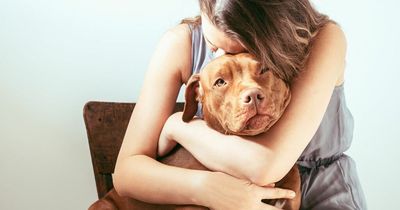 'My date banned my dog from his house - I can't decide if it's a deal breaker'