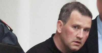Graham Dwyer's appeal against Elaine O'Hara murder conviction could go ahead this year