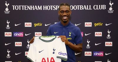 Yves Bissouma insight as expert reveals strengths and weaknesses of new Tottenham signing