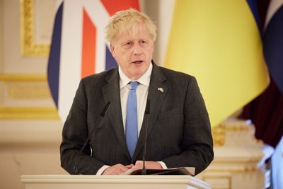 Britain has taken stronger view than US on Ukraine, says ex-White House adviser