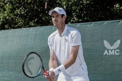 Andy Murray to discover Wimbledon fate in next two days as he recovers from abdominal injury