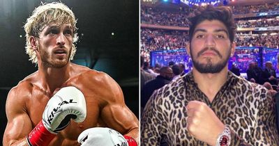 Logan Paul claims gun was drawn during altercation with rival Dillon Danis