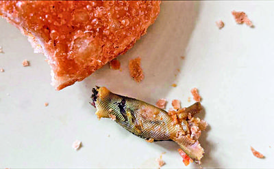 Jaipur: Dead lizard in kachori! Blame game begins
