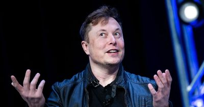 Elon Musk's child files request to change name in bid to sever ties with Tesla chief