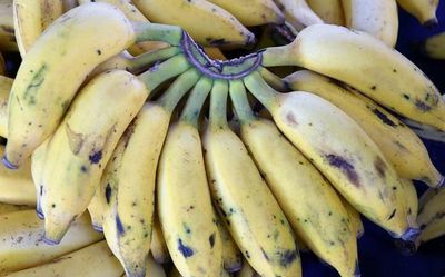After record lows, banana prices skyrocket in Bengaluru