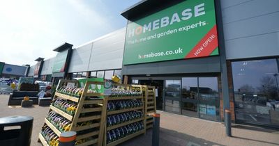 Get festival-ready home and garden products just in time for Glastonbury at Homebase