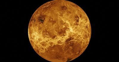 Alien life may exist on Venus as planet could be 'habitable', says report