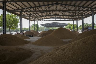 Falling grain stocks: Will India ban rice exports next?