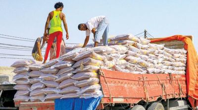 Houthi Network Loots Humanitarian Aid Sent to Devastated Yemenis