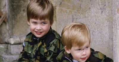 Sweet pictures capture Prince William in 1986 with mum Diana and Harry