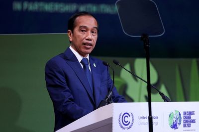 Indonesian president due to meet Putin this month -state media
