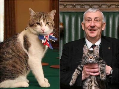 Larry the cat shares thoughts on arrival of parliament cat Attlee
