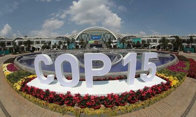Montreal to host delayed Cop15 summit to halt ‘alarming’ global biodiversity loss