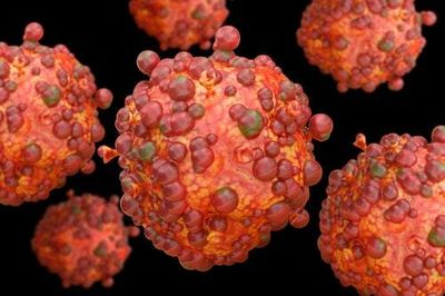 What is hybrid immunity? Two experts explain the mix of vaccination and infection