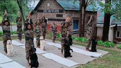 International Yoga Day: Army's 'silent warriors'- dog units' perform asanas; steal show
