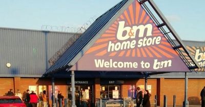 Pay rise of £300,000 lined up for new B&M chief executive