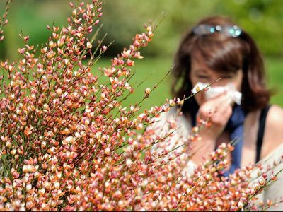 Met Office warns pollen levels will be very high all week across England