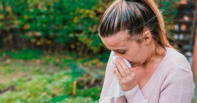 Hayfever: Six common treats that will make your symptoms worse