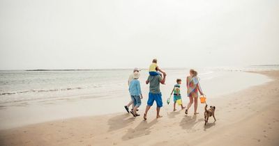 Scottish beaches that will suit both dogs and kids for family days out