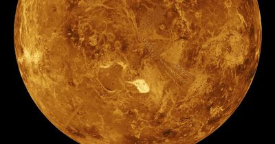 Venus could be 'more habitable' than previously thought, scientists claim