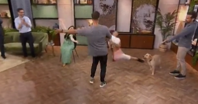 BBC Morning Live viewers worried as Janette Manrara kicks dog in the face
