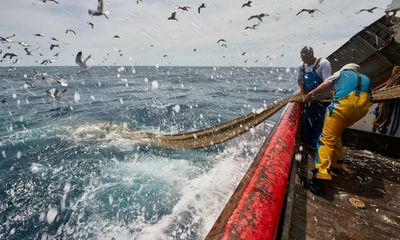 First WTO deal on fishing subsidies hailed as historic despite ‘big holes’