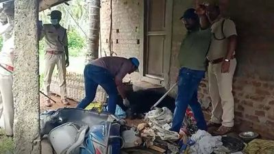 Forest staff captures bear after hours of efforts in Andhra Pradesh