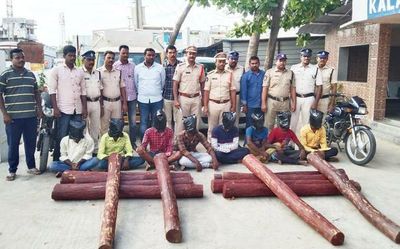 Red sanders worth ₹50 lakh seized; 8 held in Andhra Pradesh