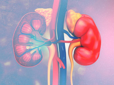 Yoga could manage chronic kidney diseases, says expert