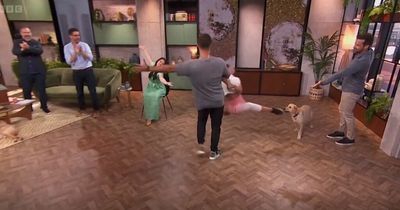 Strictly's Janette Manrara accidently kicks dog in face on Morning Live