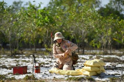 White House announces near-total US ban on landmines use