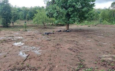 Three CRPF personnel killed in Maoist ambush in Odisha