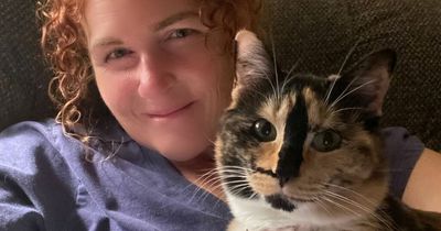 Rescue cat so happy to have found her forever home SMILES all the time