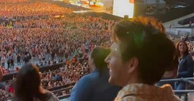 Niall Horan spotted amongst crowd at Harry Styles concert as One Direction fans rejoice